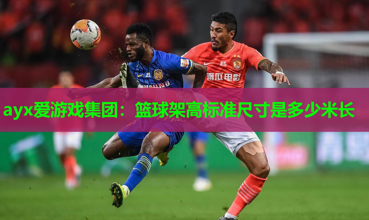 篮球架高标准尺寸是多少米长