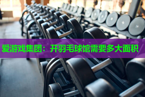 开羽毛球馆需要多大面积
