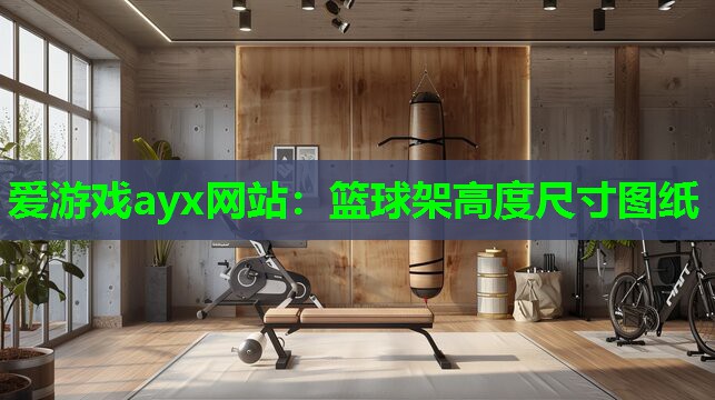 篮球架高度尺寸图纸